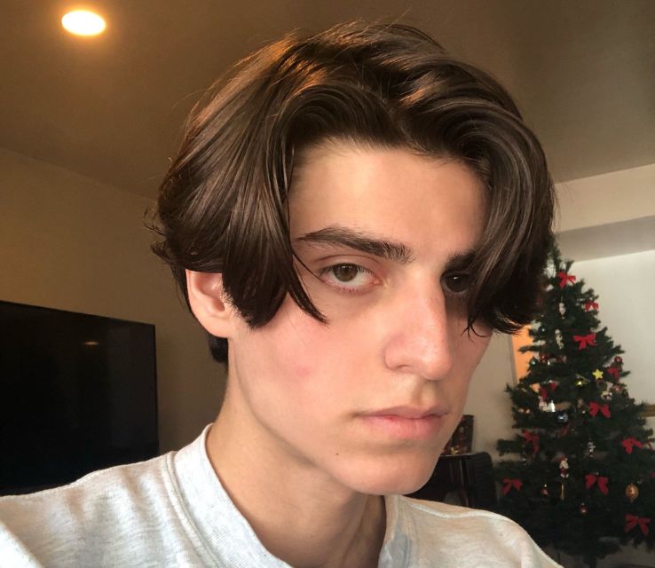 Curtain Bangs Alpaca Haircut for Men