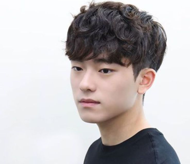 Korean Perm Alpaca Haircut for Men