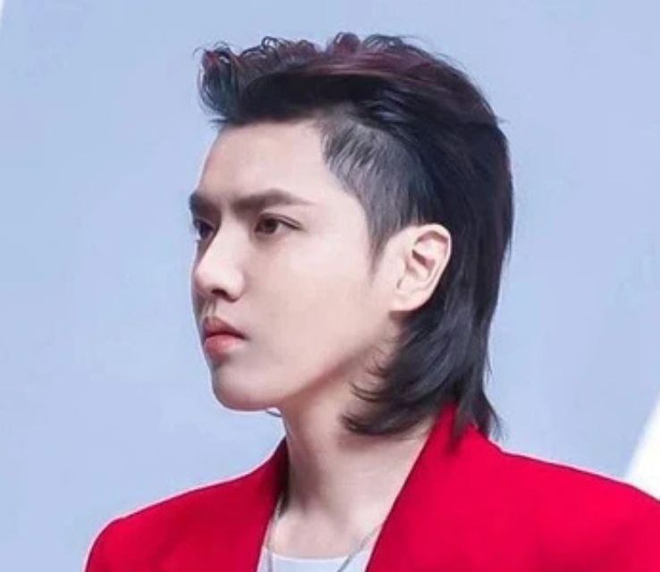 Mullet Haircut For Men Korean
