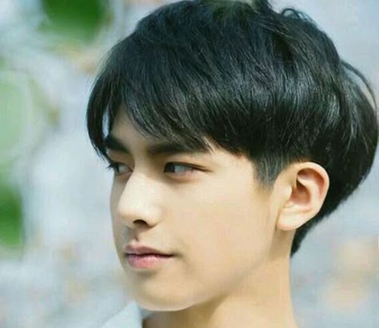 Two Block Alpaca Haircut for Men