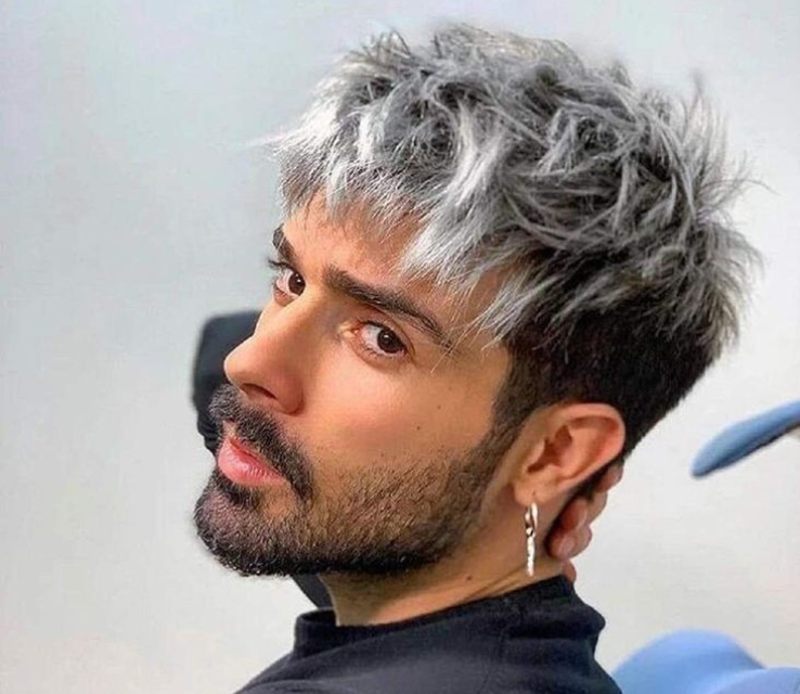 Black Grey Hair Men