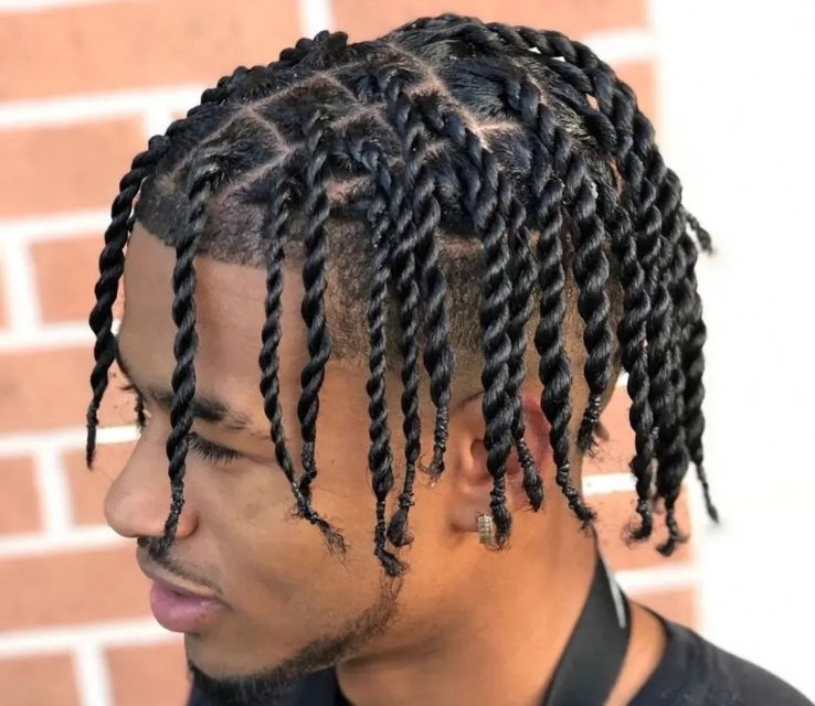 Braids Twist Hairstyles Men