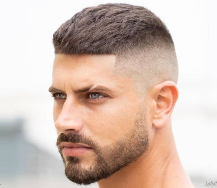 Ivy League Crew Cut for Men