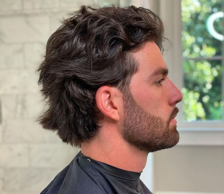 Modern Mullet